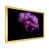 Gold Picture Frame