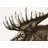 Moose Plume Sepia - Framed Canvas for Home Decor