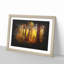 Mystery Forest - Framed Print-56862168-56862169