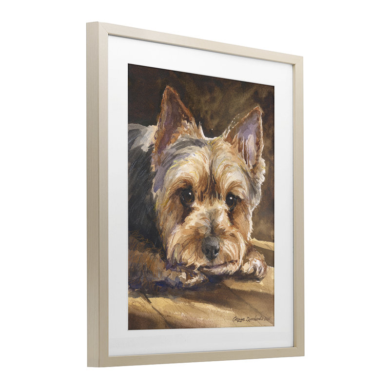 Yorkshire Terrier, reproduction sous verre encadrée, conception de George Dyachenko, H 21 po x l 17 po