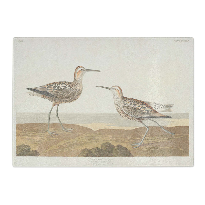 Tempered Glass Sandpiper Birds by John James Audubon Chopping Board, 28.5 cm x 20 cm