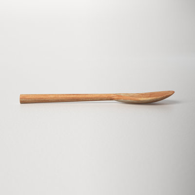Vander Big Serving Spoon