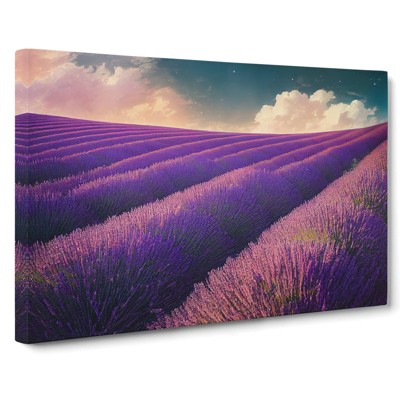 Contemporary Lavender Flower Field - Wrapped Canvas Print, 35cm H x 50cm W x 3cm D