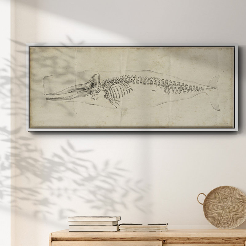 Whale Study II, reproduction d'art sur toile, Blanc, H 12 po x l 30 po x P 1,5 po