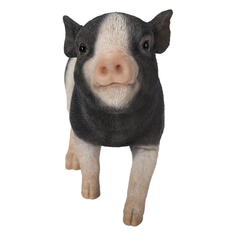 Bébé cochon debout, Noir / blanc