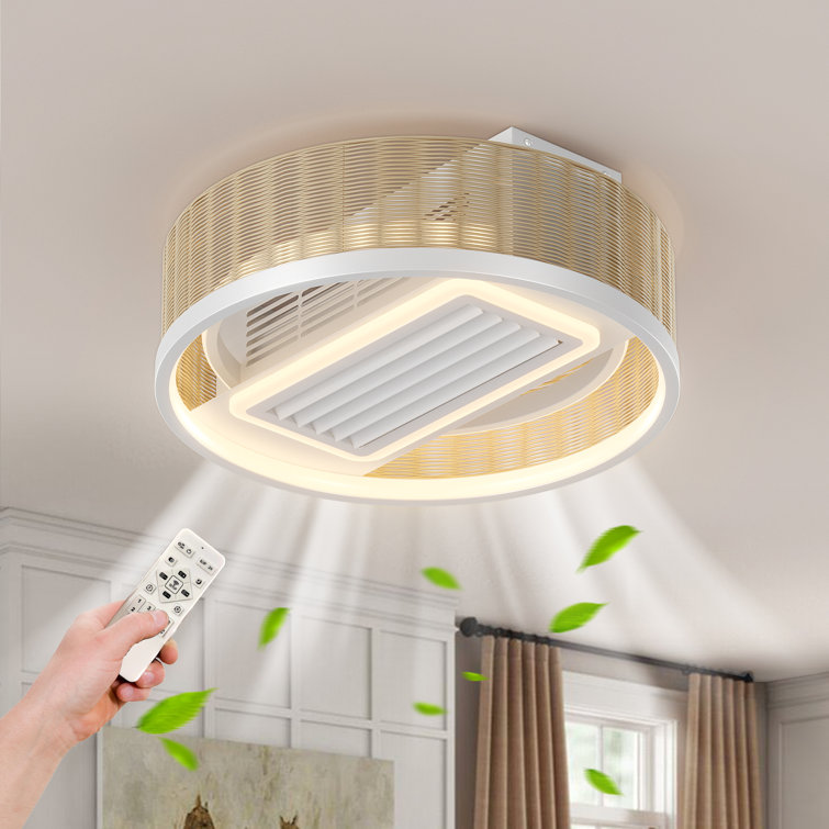 Nubble 20" Boho Caged Ceiling Fan with Lights Flush Mount, Low Profile Rattan Ceiling Fans