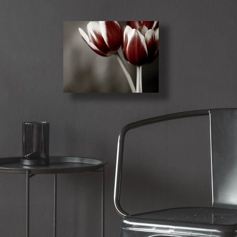 Epic Art «Red Tulips On Grey 01» par Tom Quartermai «Red Tulips On Grey 01» par Tom Quartermaine