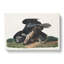 Black Vultures - Wrapped Canvas Painting-55370869