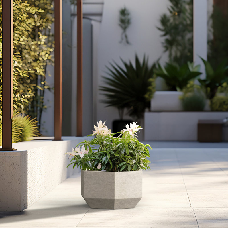 Jardinière Armontae, H 8 po x l 14 po x P 12 po, Gris clair