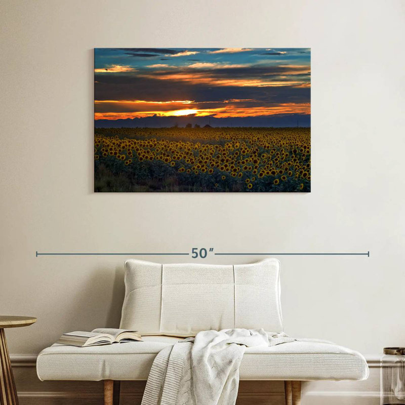 Champ de tournesols Alvord Colorado