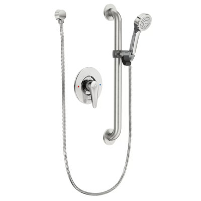 Commercial Handheld Shower Faucet with Grab Bar