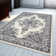 Noor Oriental Area Rug