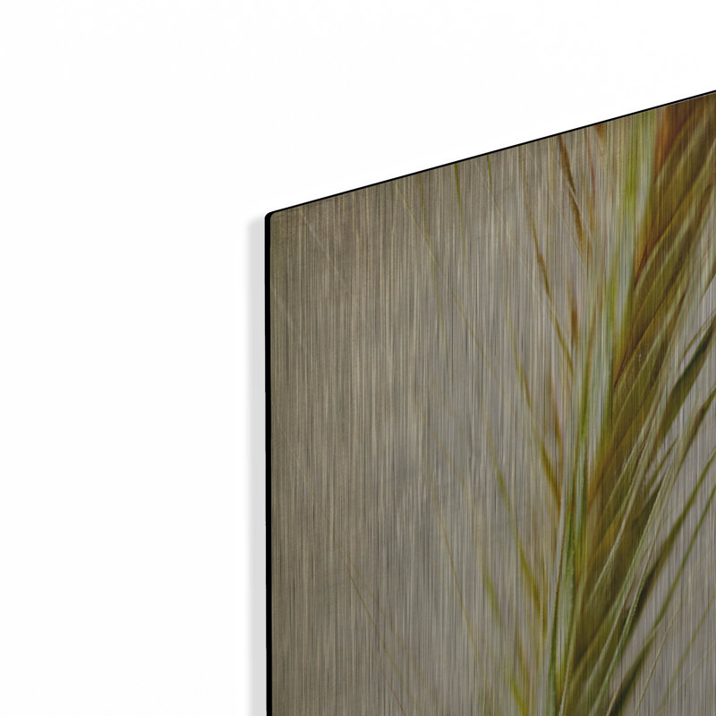 «Grasses 3» par Jessica Rogers, art mural en métal Gracie Oaks, H 24 po x l 24 po