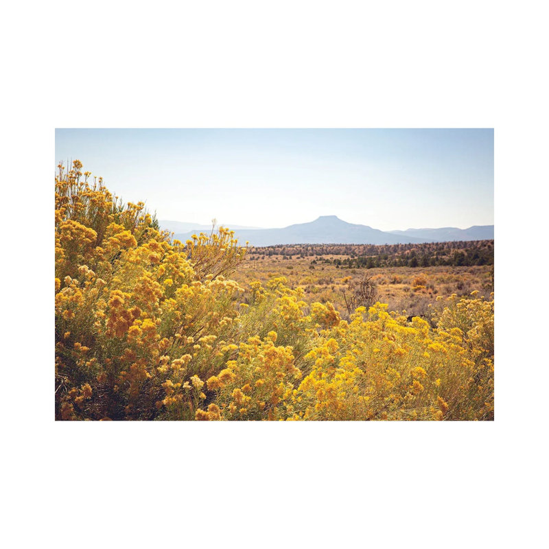 New Mexico Gold by Ann Hudec - Wrapped Canvas Print, 20.32 cm H x 30.48 cm W