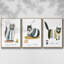 Feuilles antiques IV, ensemble de 3 toiles encadrées sur toile-97760376-97760381