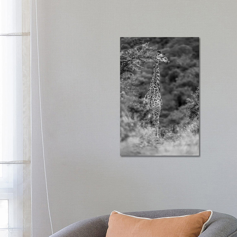 The Young Giraffe by Anders Jorulf - Wrapped Canvas Print, 66.04 cm H x 45.72 cm W x 1.91 cm D