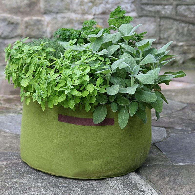 Arionah Pot Planter