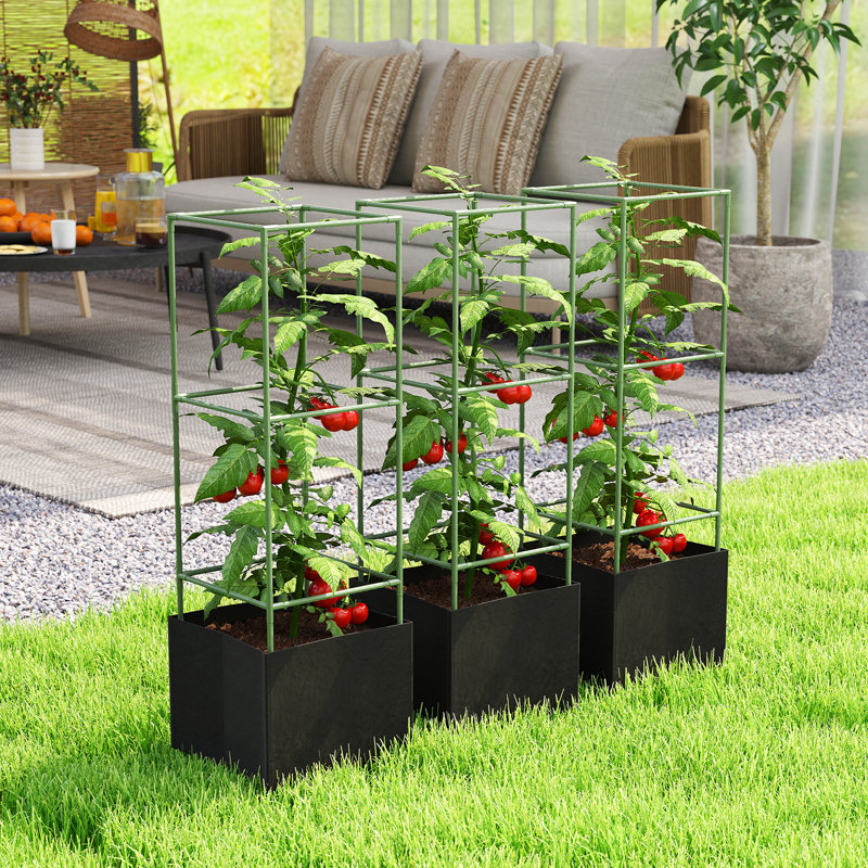 Ensemble de 3 cages à tomates avec sacs de culture de 13,5 gallons