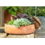 Cintre Beatrix Potter Squirrel Nutkin Pot