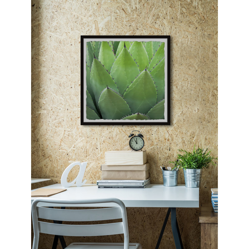 Pointy Leaves - Single Picture Frame Painting, 51 cm H x 51 cm W