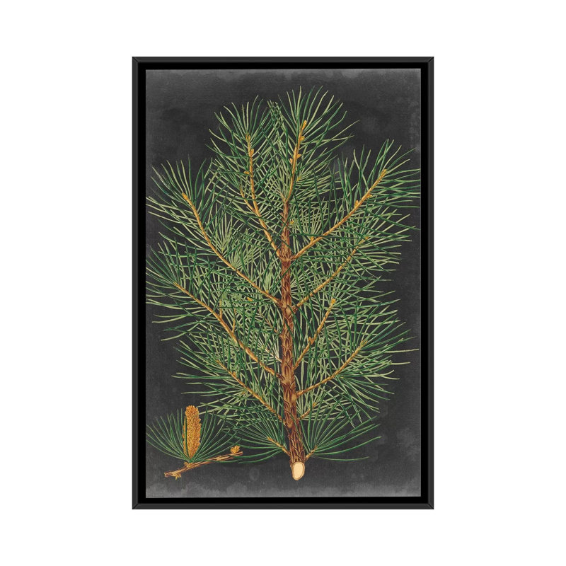 «Dramatic Pine II», impression sur toile, H 26 po x l 18 po x P 1,5 po, Toile avec cadre noir, Pas de tapis