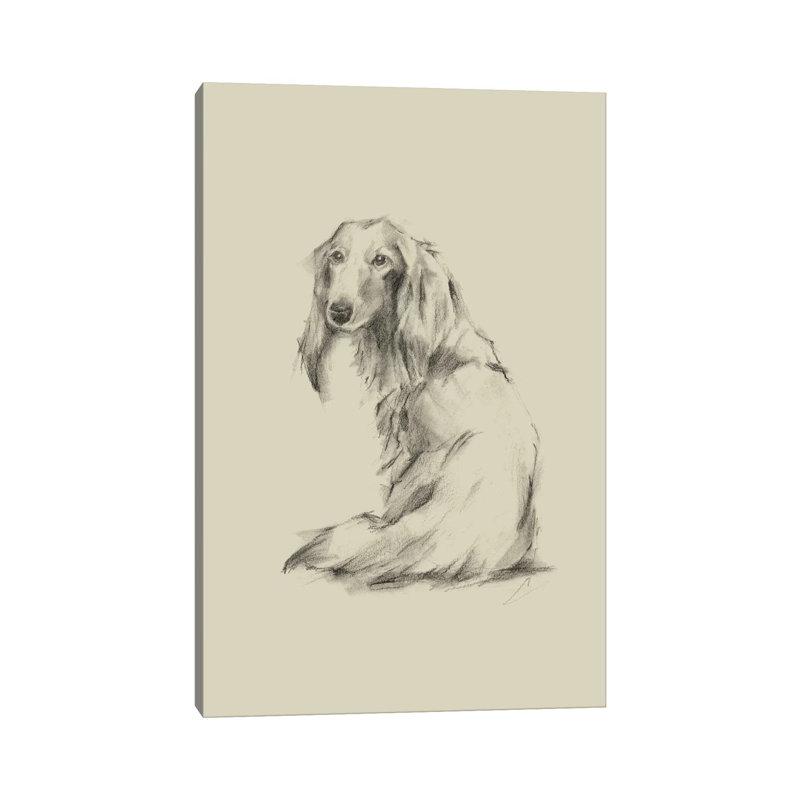 Puppy Dog Eyes II by Ethan Harper - Wrapped Canvas Gallery-Wrapped Canvas Giclée, 152.5 cm H x 101.5 cm W