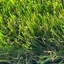Braydyn 40mm Pet-Friendly Artificial Grass, Non-Slip Grass For Garden-1m(3'3") X 4m(13'1")-4m²