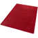 Fancy Red Rug