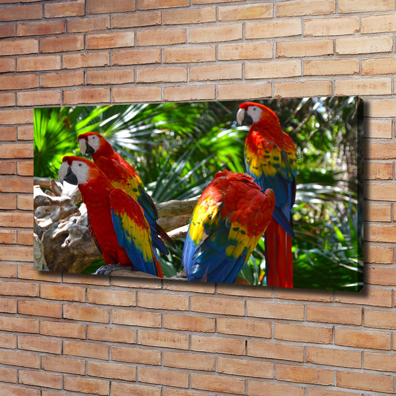 Macaw Parrots - Wrapped Canvas Print