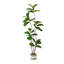 Figuier figuier de 71 po, feuilles vertes luxuriantes denses, ficus lyrata artificiel réaliste en pot, plante d'intérieur sans entretien pour la décoration de salon de bureau à domicile