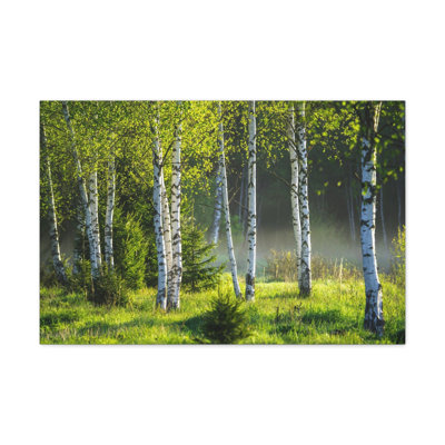 No Frame Print on Canvas