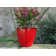 Alexaundrea Pot Planter