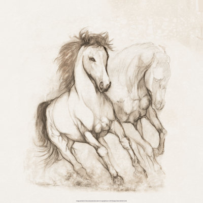Horse Study - Wrapped Canvas Painting