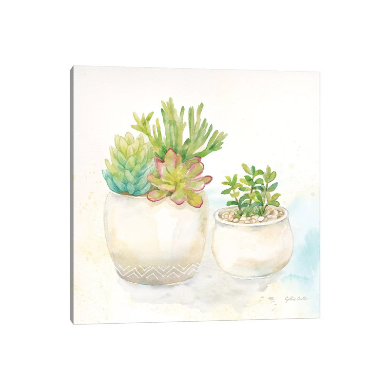 Sweet Succulent Pots I by Cynthia Coulter - Wrapped Canvas Painting, 66.04 cm H x 66.04 cm W x 3.175 cm D