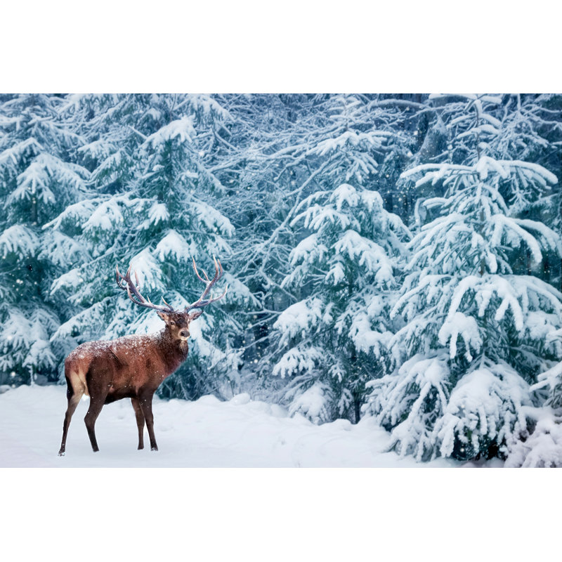 Winter Natural Background by Delbars - Wrapped Canvas Print, 30cm H x 46cm W