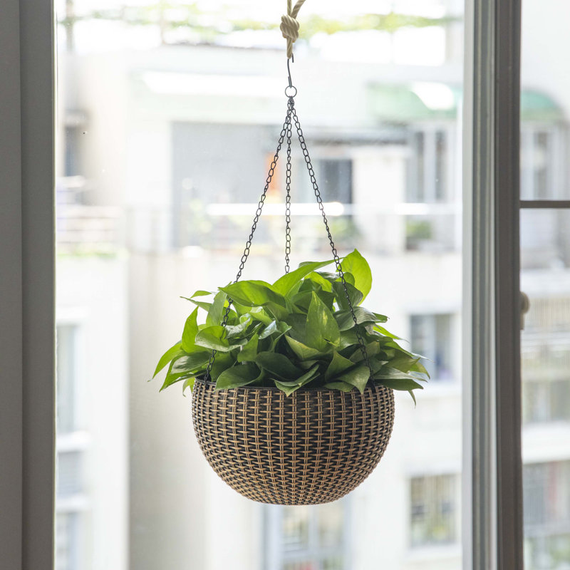 Eckart Hanging Planter