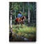 «Through the Aspen», reproduction d'art sur toile tendue-134188777
