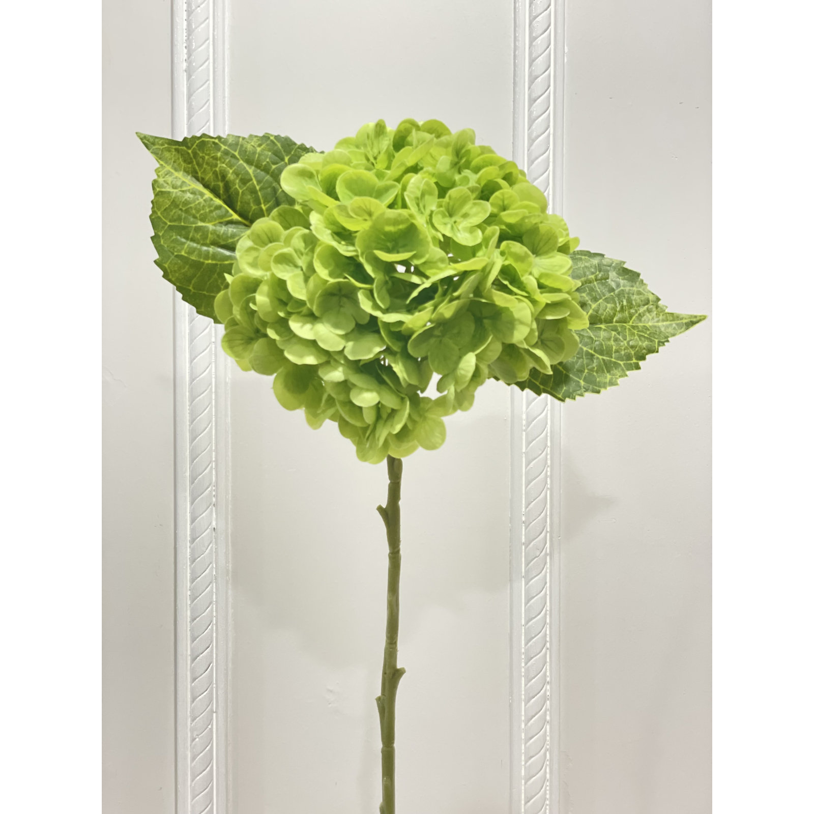 Hydrangea Floral Stems, Dark Green