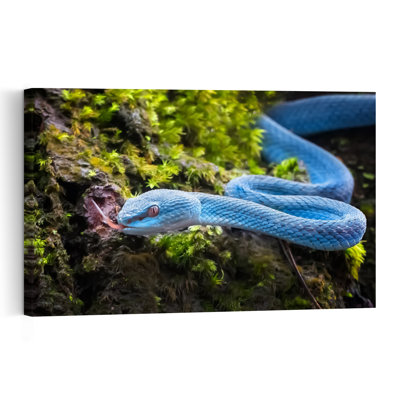 Blue Jungle Viper Abstract Snake Forest Landscape Wall Art Print by Fauzan Maududdin - Print