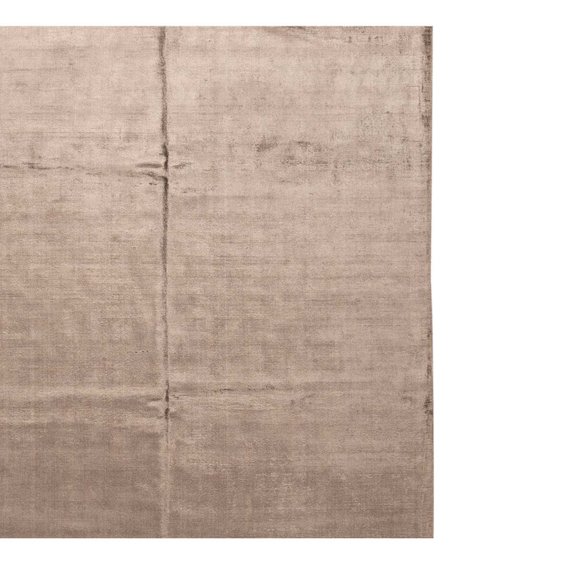 Area Rug in Beige