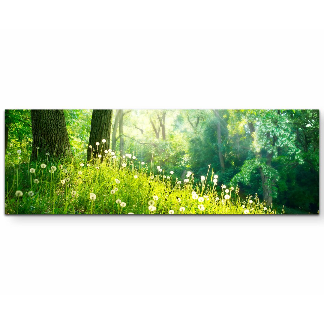 Leinwandbild Pusteblumen im Wald