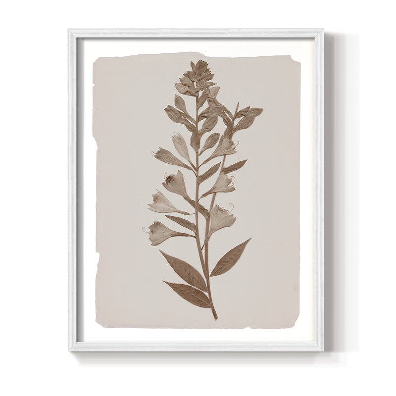 Impression botanique monochrome I - bois massif, H 15 po x l 12 po, Blanc