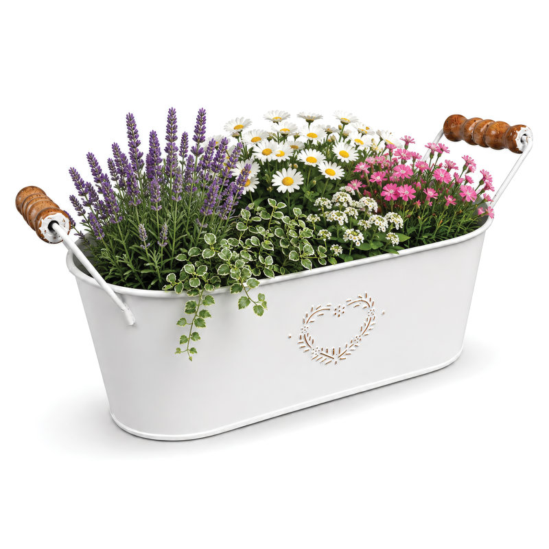 Metal Plant Trays/ Stands