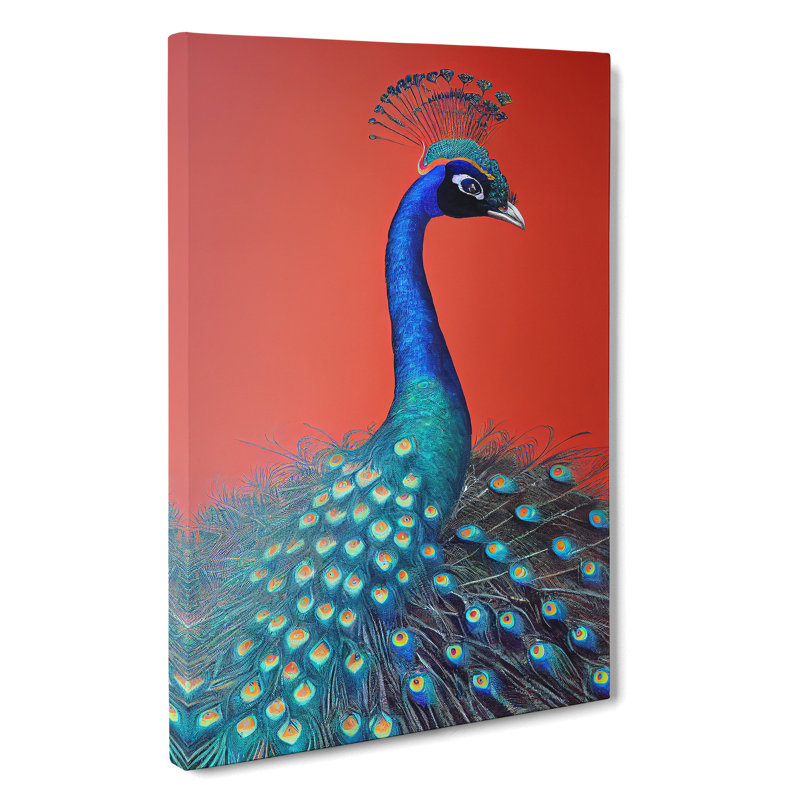 Extraordinary Peacock - Wrapped Canvas, 76cm H x 50cm W x 3cm D