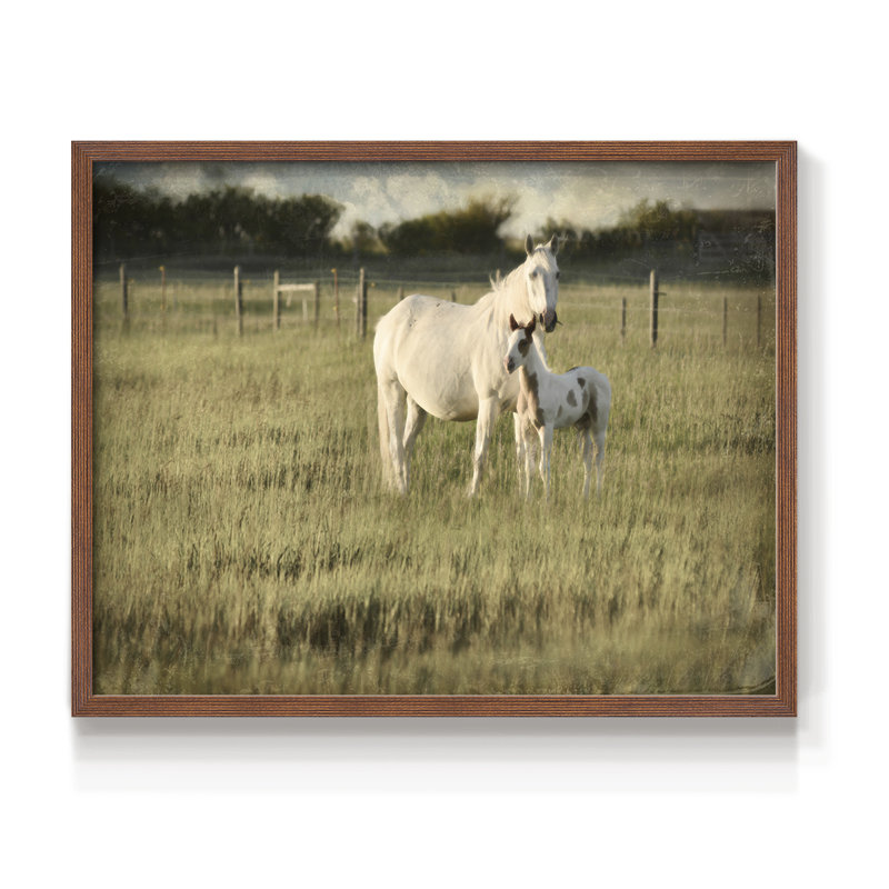 Mare and Colt -Framed Print - Restickable