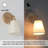 1-Light Wall Sconce