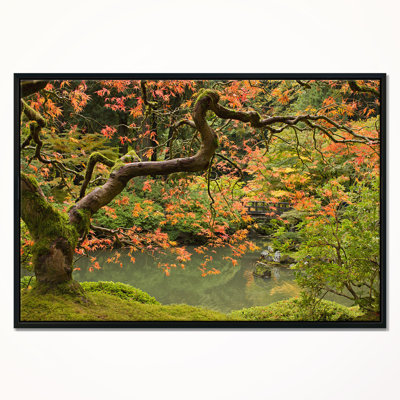 " Japanese Garden Fall Season "