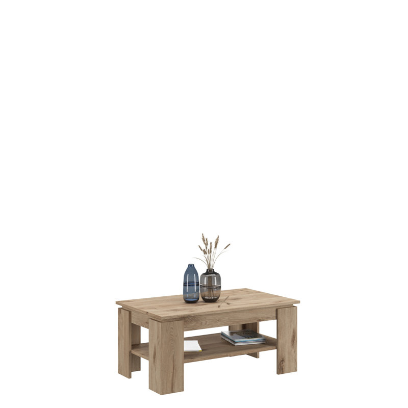 Heinaman 4 Legs Coffee Table with Storage, Nox Oak