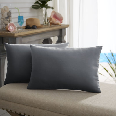 Almeda Outdoor Rectangular Pillow Cover & Insert
