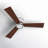 Rodrick Ceiling Fan with LED Lights-90790120-90781354